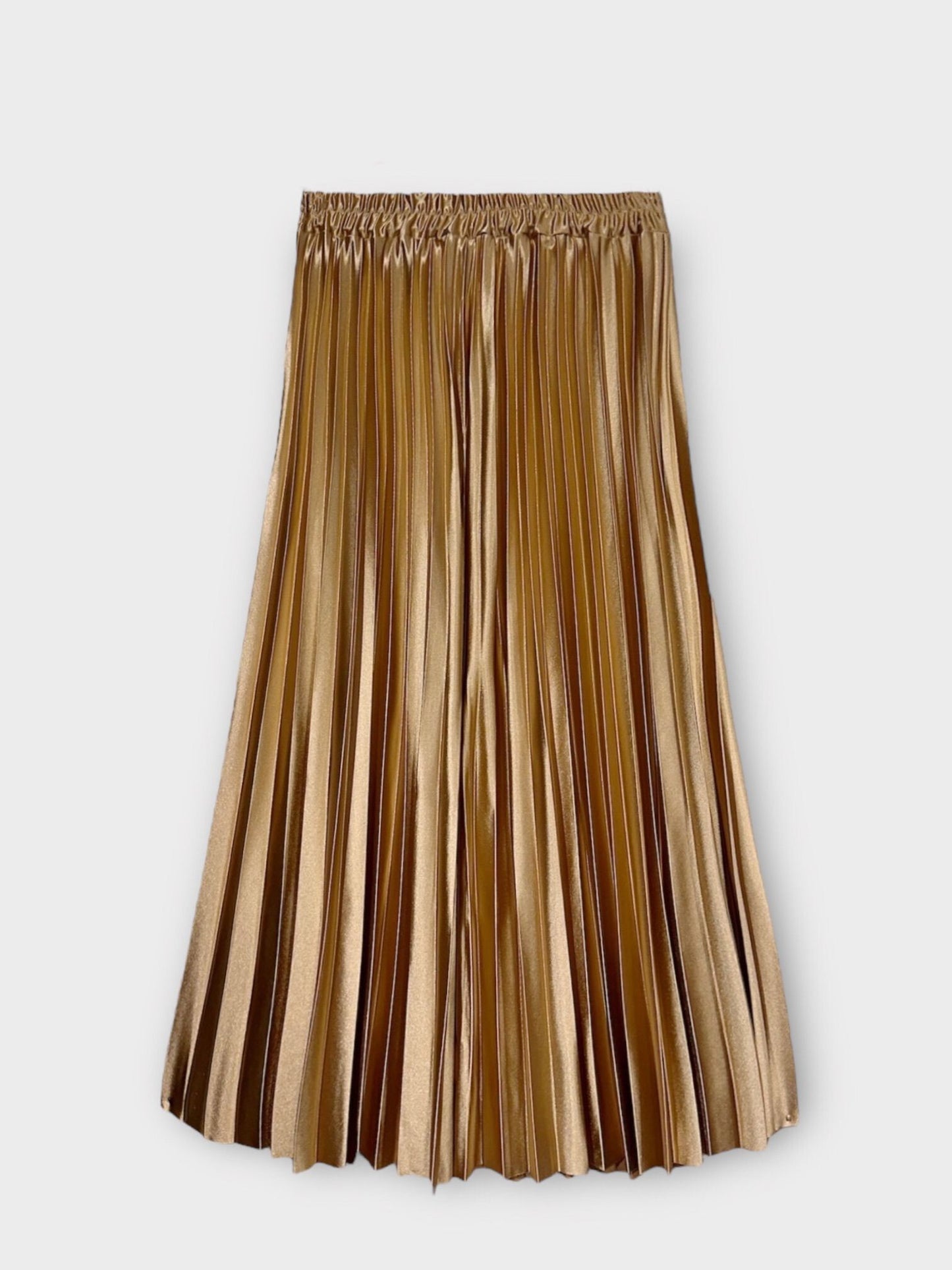 Long pleated skirt