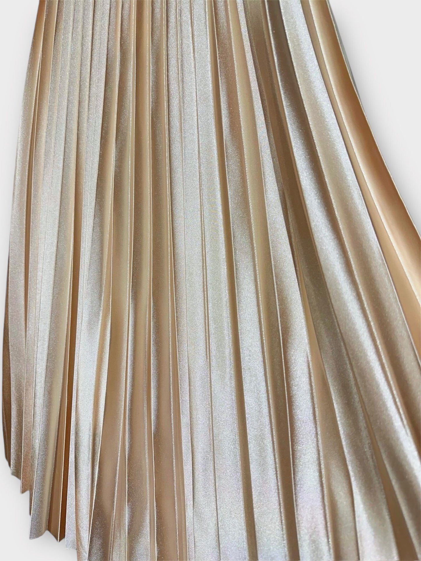 Long pleated skirt