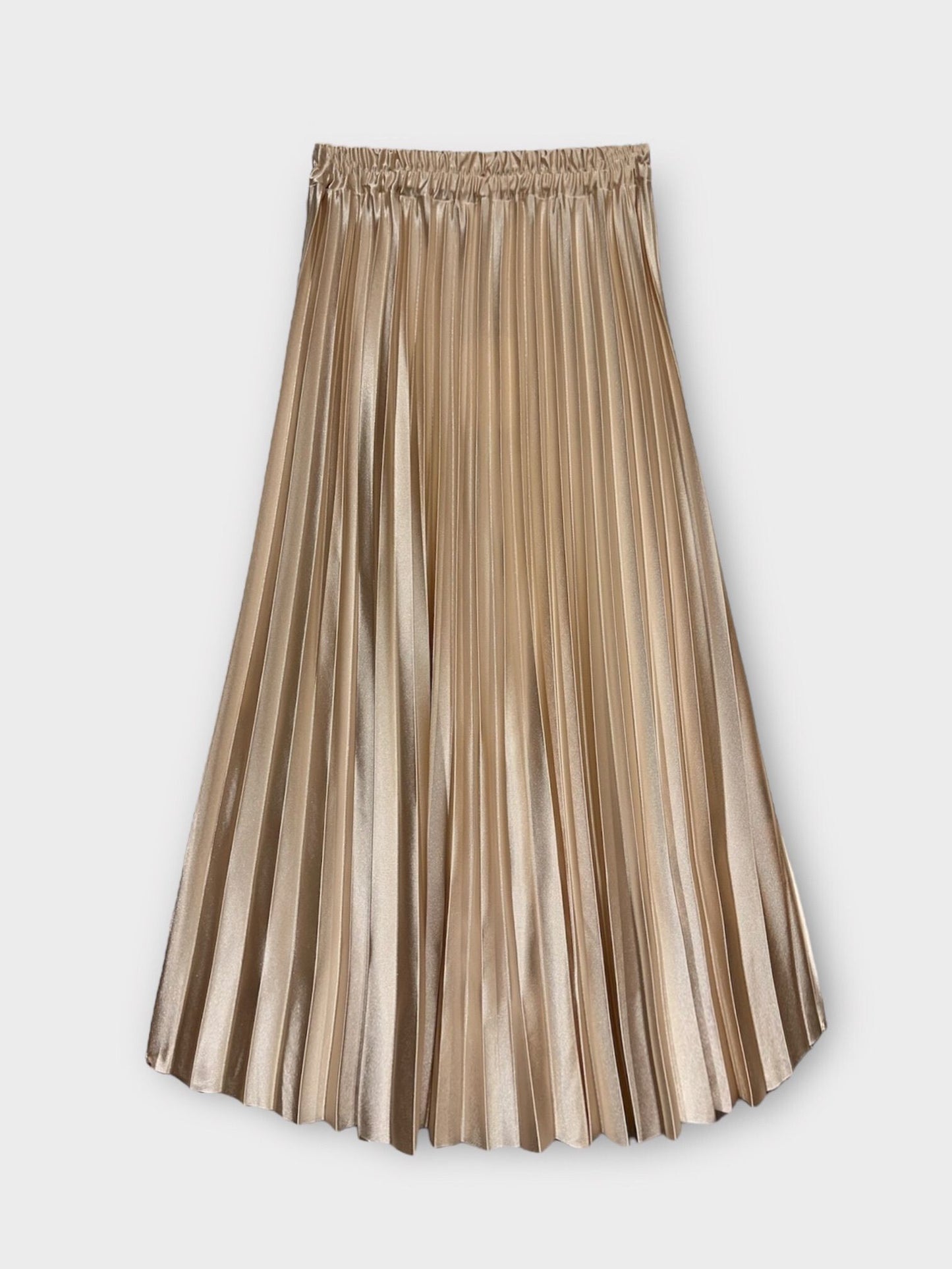 Long pleated skirt